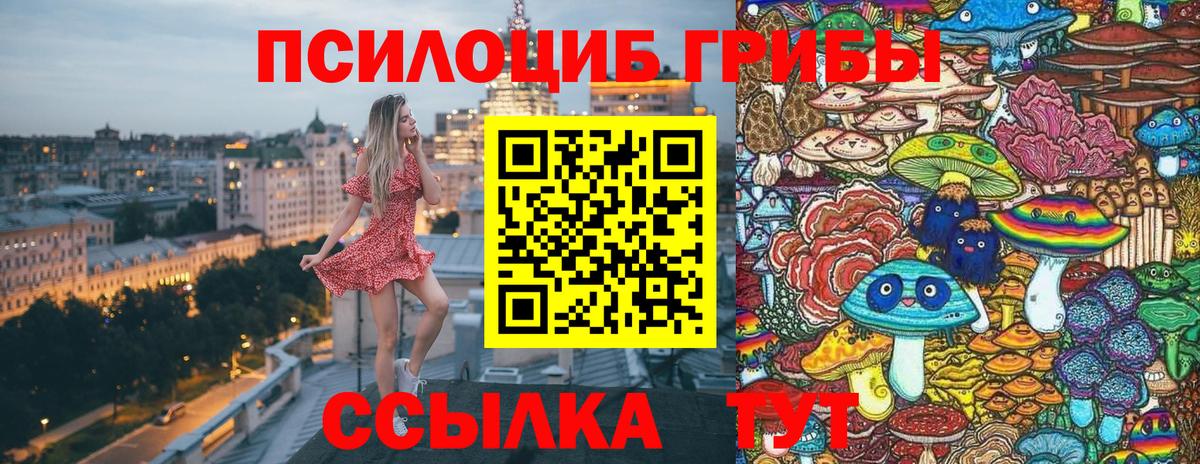 Псилоцибиновые грибы Cubensis Топки