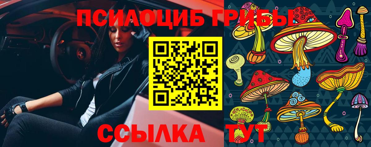 Топки  Галлюциногенные грибы прущие грибы  Вход с VPN 